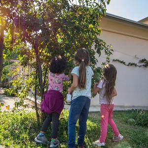 Attività scolastica