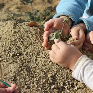 Durante i primi anni